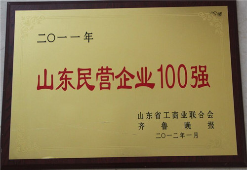 山東省民營企業(yè)100強(qiáng)