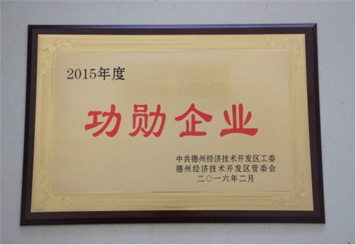 2015年度功勛企業(yè)